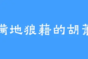 满地狼藉的胡萧