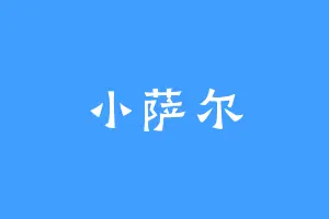 小萨尔