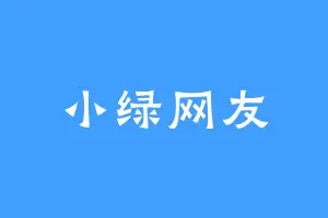 小绿网友