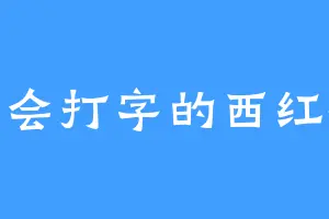 不会打字的西红柿