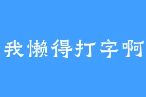 我懒得打字啊