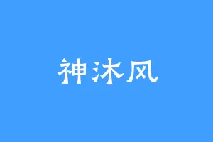 神沐风