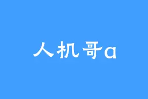 人机哥a