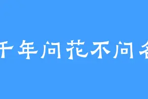 千年问花不问名