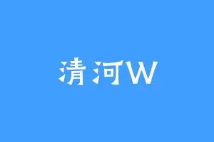清河W